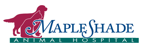 MapleShade Animal Hospital